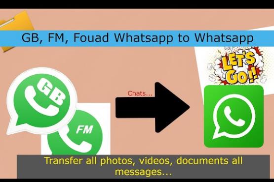 Optimizing Fouad WhatsApp Performance